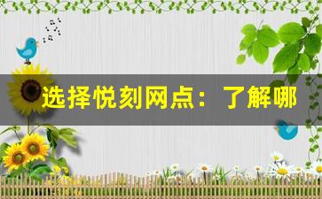 选择悦刻网点：了解哪些服务更符合需求