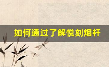 如何通过了解悦刻烟杆价格来选择合适的产品