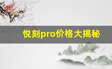 悦刻pro价格大揭秘，是否值得入手？