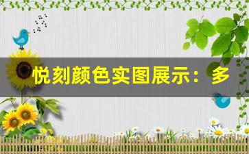 悦刻颜色实图展示：多款新色任你选择