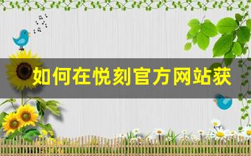 如何在悦刻官方网站获取最新价格信息