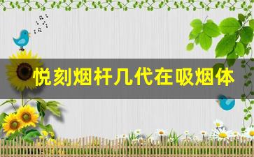 悦刻烟杆几代在吸烟体验上的改进