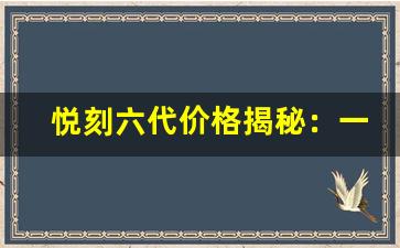 悦刻六代价格揭秘：一支多少钱？
