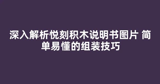 深入解析悦刻积木说明书图片 简单易懂的组装技巧